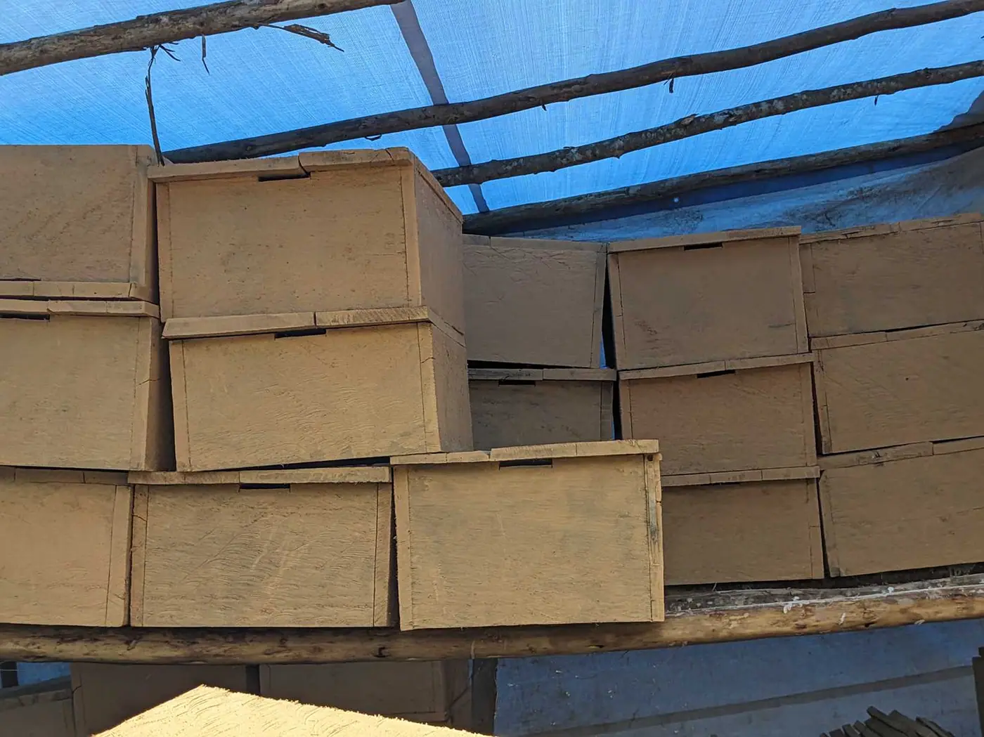 Ruches modernes en bois fabriquées à l’atelier, prêtes à être livrées