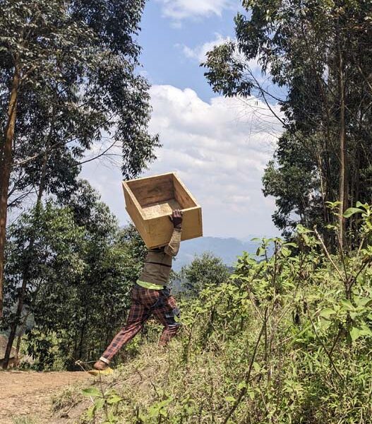 Un membre de la communauté transporte une ruche sur la tête, Lubero